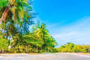 plage tropicale avec palmiers photo