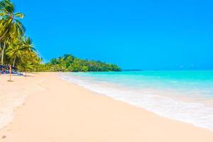 plage tropicale avec palmiers photo