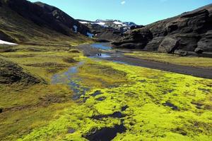 brillant vert paysage Islande photo