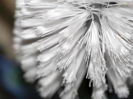 Détail de la brosse pour lave-vaisselle photo