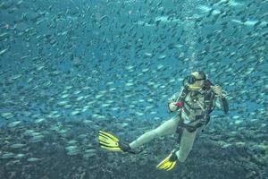 une scaphandre autonome plongeur à l'intérieur une école de poisson sous-marin photo