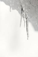 glaçons détail dans neige hiver temps photo