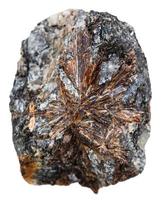 cristaux de lamprophyllite minéral pierre isolé photo