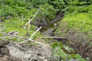 fossé dans les bois. fosse dans forêt. drainer de industriel zone. boueux ruisseau. photo