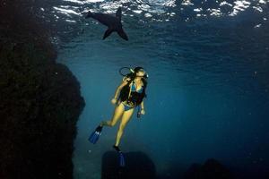 belle femme latina fille jouant avec le lion de mer photo