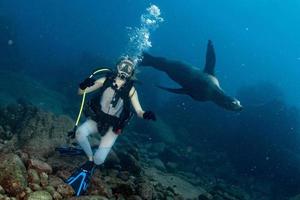 belle fille blonde jouant avec le lion de mer sous l'eau photo