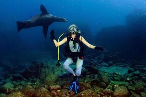 belle fille blonde jouant avec le lion de mer sous l'eau photo