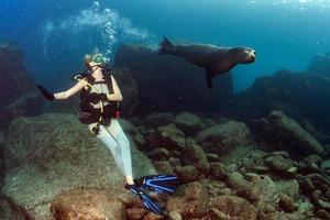 belle fille blonde jouant avec le lion de mer sous l'eau photo