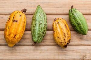 Les cabosses de cacao mûres sur une table en bois photo