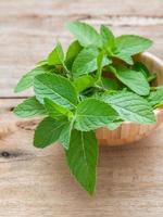 feuilles de menthe dans un bol photo