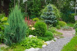 le chemin dans le jardin est décoré avec gravier, des pierres et les plantes photo