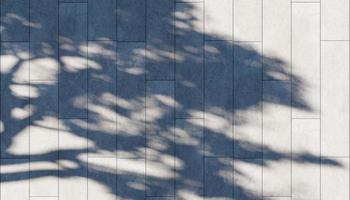mur texture ombre arbre Contexte abstrait conception lumière du soleil photo