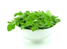 proche en haut moringa feuilles sur blanc bol photo