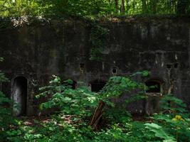 militaire fortifications de le premier monde guerre. béton fort photo