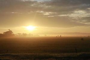 une serein rural paysage de fermes photo