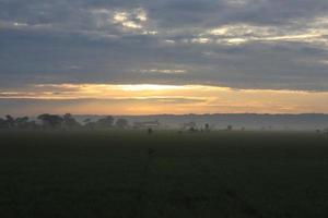 une serein rural paysage de fermes photo