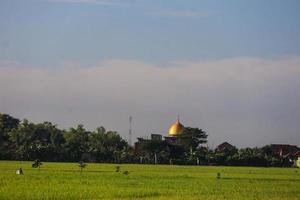 une serein rural paysage de fermes photo