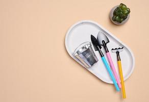 miniature jardin outils pour repiquage végétaux, Accueil passe-temps, Haut vue photo