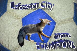 bleu Renard Leicester ville premier champion 2016 photo