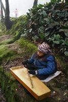 une homme en jouant kecapi traditionnel sundanais la musique dans le ciwidey, Bandung, ouest Java, Indonésie. photo