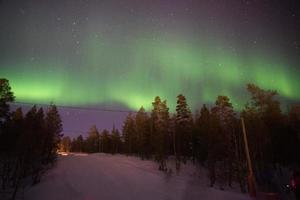 magnifique nord lumières dans une forêt. Laponie photo