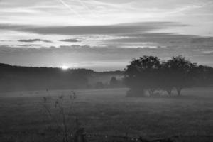 lever du soleil plus de une voisin forêt avec Prairie dans le premier plan. pâturage paysage photo