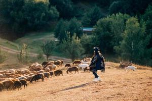 Berger femelle et troupeau de moutons sur une pelouse photo