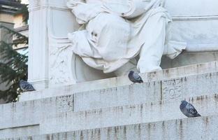 pigeons sur le monument escaliers dans Publique parc, Bergame, Italie. Urbain architectural la photographie. photo