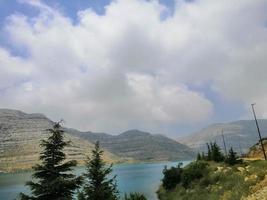 la nature faune paysage avec des arbres photo