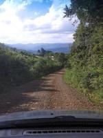 forêt sentier par le des arbres photo