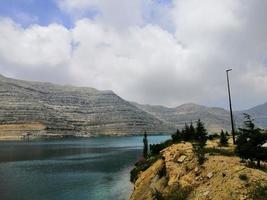 la nature faune paysage avec des arbres photo