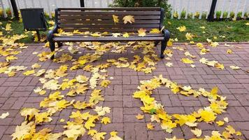 une en bois banc dans le parc et une cœur de l'automne Jaune érable feuilles sur le rouge jardin chemin photo