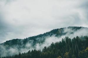 majestueux montagnes dans le Alpes couvert avec des arbres et des nuages photo