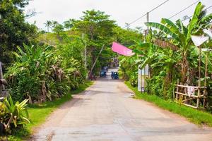 rural la nature vue dans philippines photo