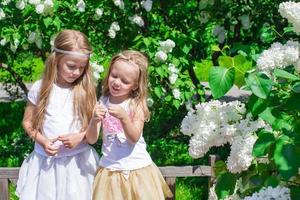 peu sœurs par magnifique blanc fleurs photo