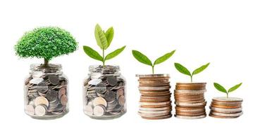 feuille de plumule d'arbre sur les pièces d'argent d'économie, concept d'investissement bancaire d'économie de financement d'entreprise. photo