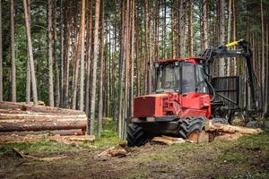 rouge lourd devoir tracteur rassemblement arbre les troncs après bois Coupe pour sanitaire nettoyage avec arbre journaux empilé sur le côté photo