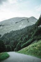 majestueux montagnes dans le Alpes couvert avec des arbres et des nuages photo