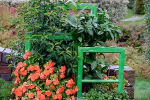 heure d'été dans le jardin photo