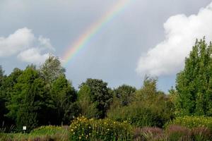 heure d'été dans le jardin photo