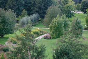 heure d'été dans le jardin photo