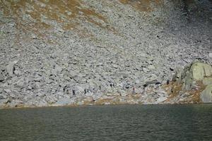 dans le Suisse montagnes photo