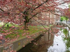 le ville de delft dans le Pays-Bas photo