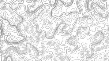 abstrait topographique contours carte Contexte. géographique Montagne relief. moderne Vide détaillé topographique contour carte subtil blanc Contexte. photo