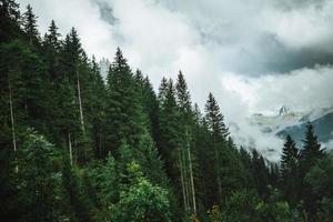 majestueux montagnes dans le Alpes couvert avec des arbres et des nuages photo