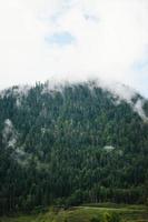 majestueux montagnes dans le Alpes couvert avec des arbres et des nuages photo