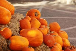 citrouilles orange se trouvant dans la botte de foin. marché fermier de citrouilles. récolte d'automne de légumes. récolte de citrouilles. saison de citrouille d'automne.octobre et novembre. le temps de la récolte. halloween, action de grâces photo