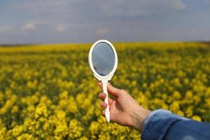 une main féminine avec un miroir rétro miniature dans un champ de fleurs sauvages jaunes se reflète. concept lumineux d'été créatif. photo