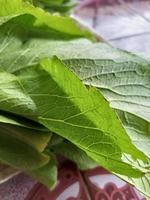 vert des légumes et rouge Rose photo