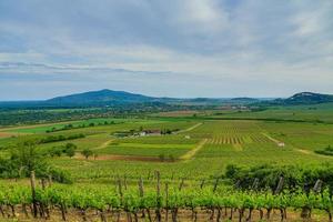 tokaj colline avec vignobles photo